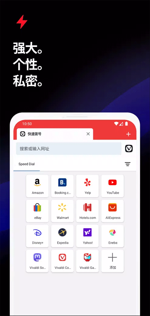 Vivaldi老版截图