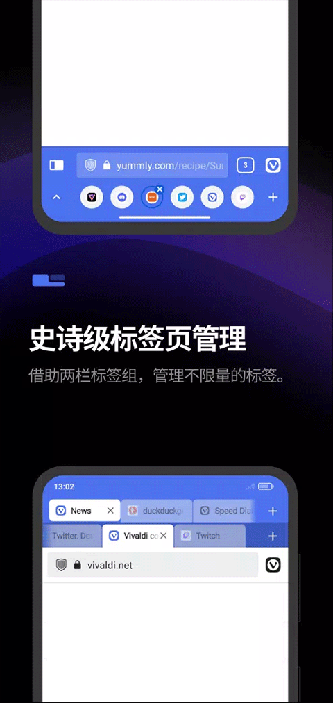 Vivaldi手机版截图