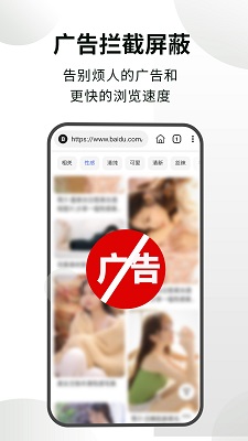 隐身浏览器截图