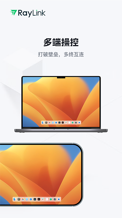 raylink远程控制免费版截图