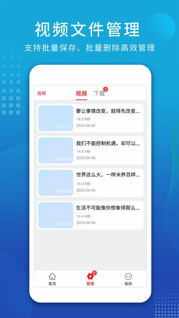 视频解析大师截图