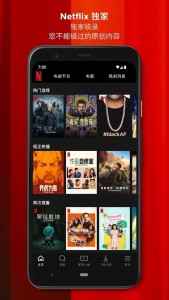 netflix中文版截图