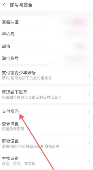 《支付宝》密码设置方法