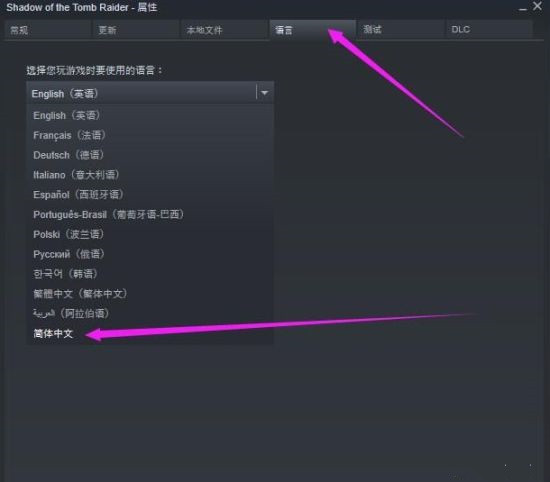 《古墓丽影：暗影》中文设置方法