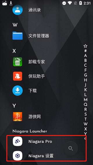 niagara launcher